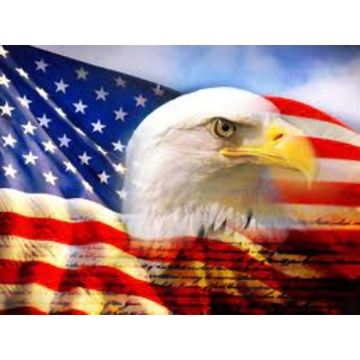 eagle infront of American flag - Keystone Carpets Inc in WA